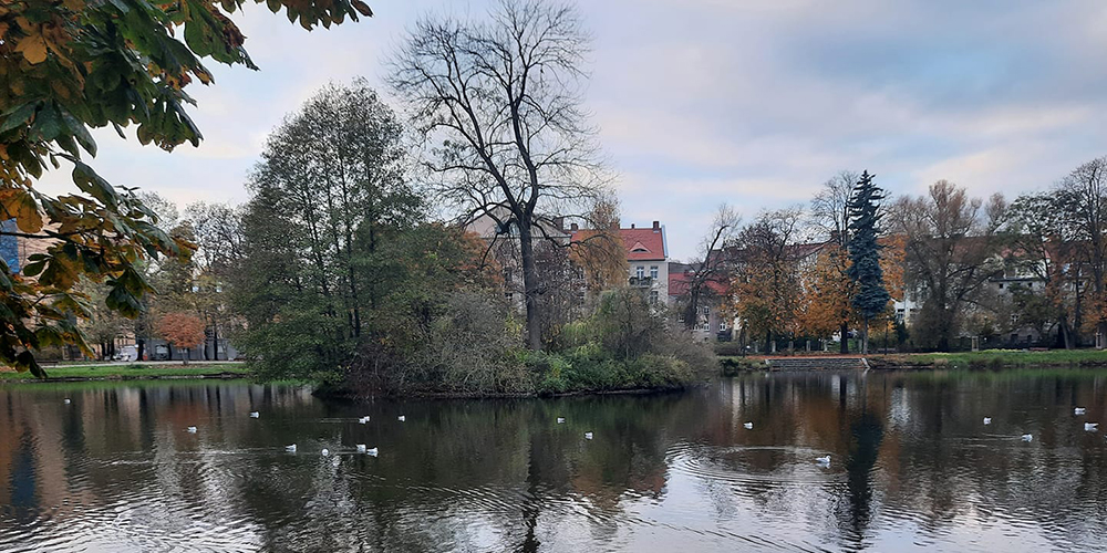 Centrum Miasta i Park Róż