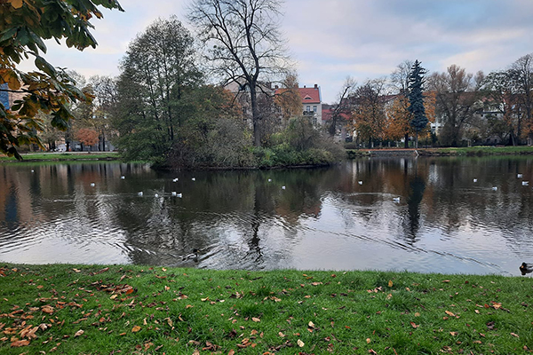 Centrum i Park Róż