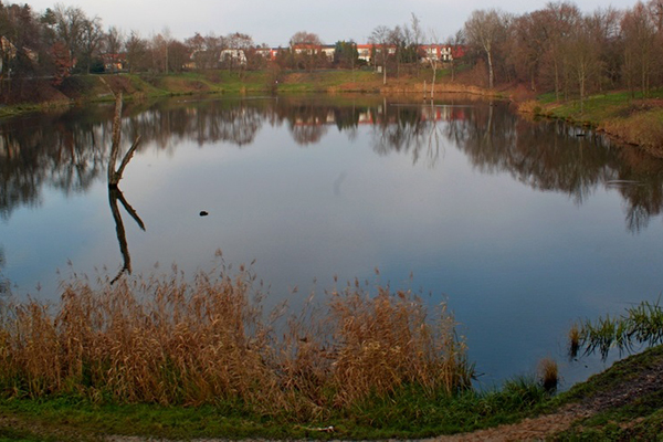 Jeziorko Błotne